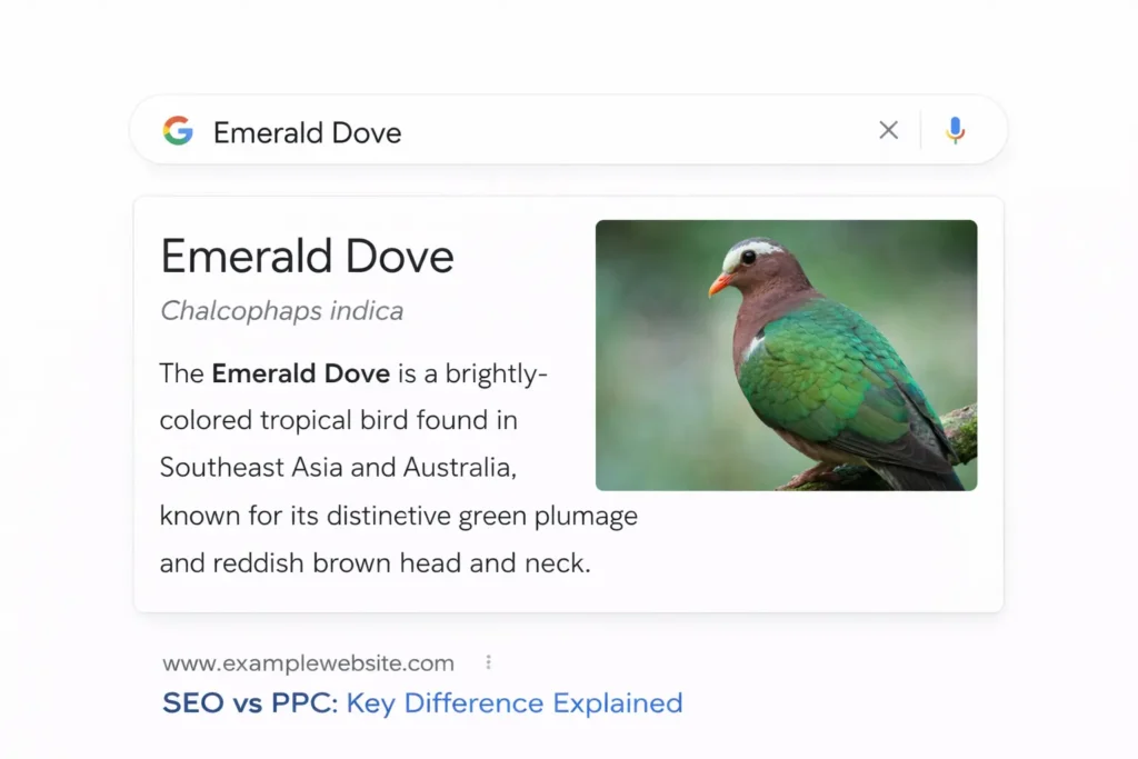 Featured snippet SEO image result showing Emerald Dove appearing in Position Zero.